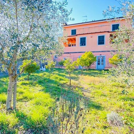 Villa Arancia Quiet, Central, Parking And Air Conditioning ليفانتو المظهر الخارجي الصورة