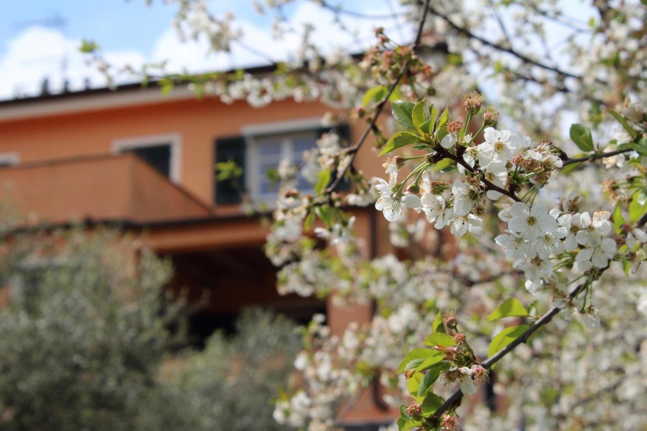 Villa Arancia Quiet, Central, Parking And Air Conditioning ليفانتو المظهر الخارجي الصورة