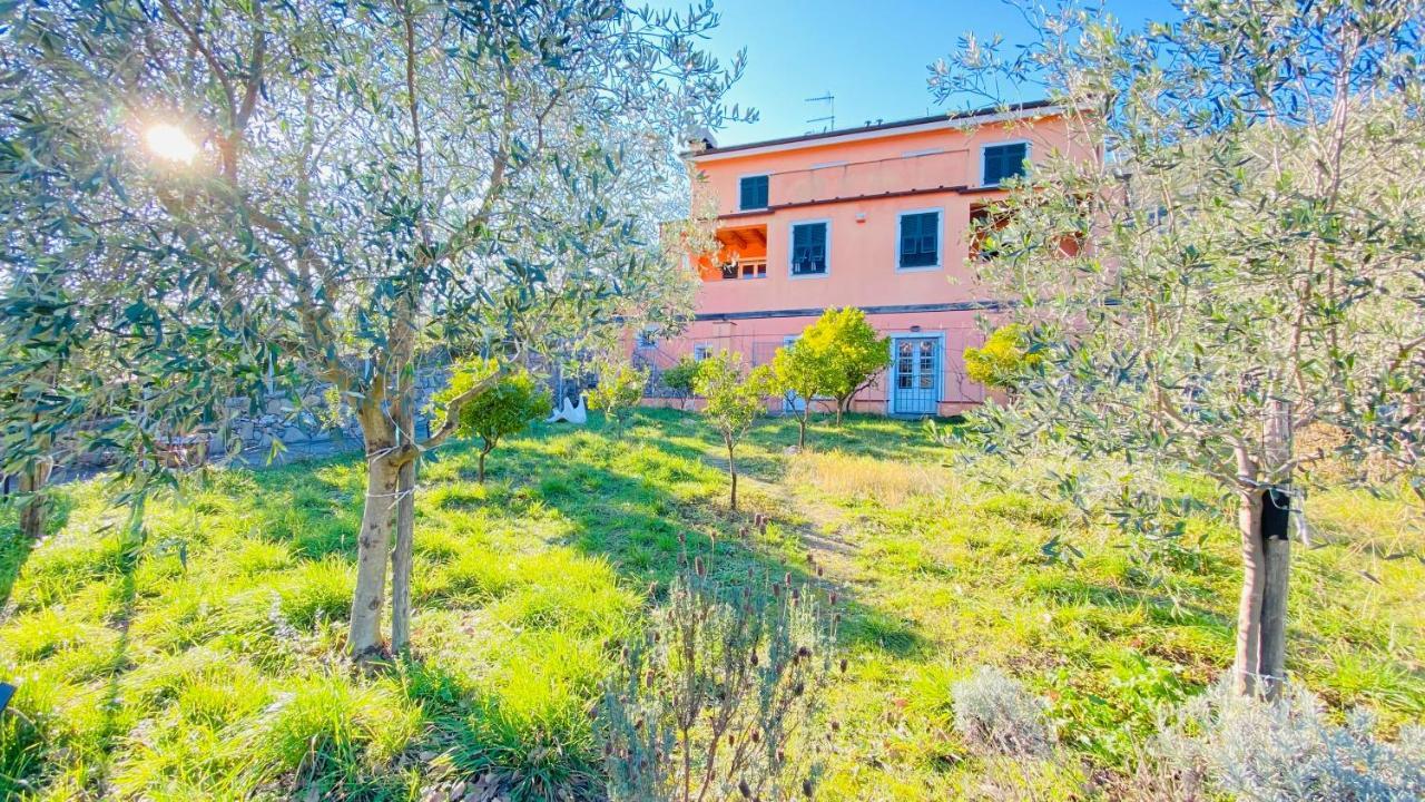 Villa Arancia Quiet, Central, Parking And Air Conditioning ليفانتو المظهر الخارجي الصورة